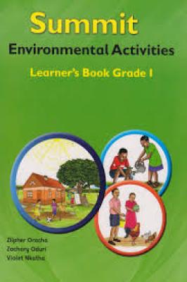 Summit Environmental Activities Grade 1